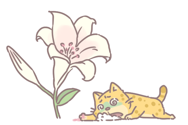 寵物碰到這些植物會中毒_1