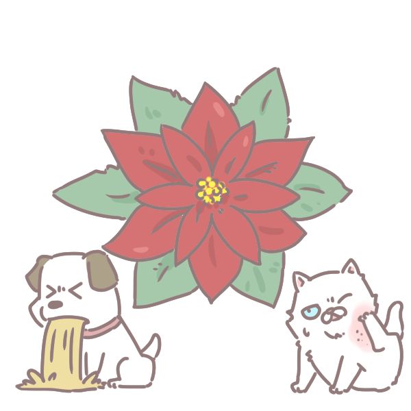 寵物碰到這些植物會中毒_3