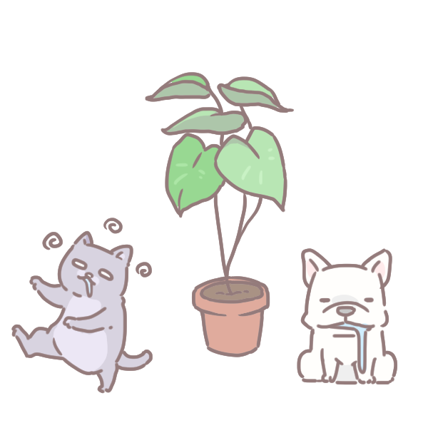 寵物碰到這些植物會中毒_2