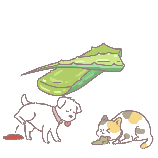 寵物碰到這些植物會中毒_4