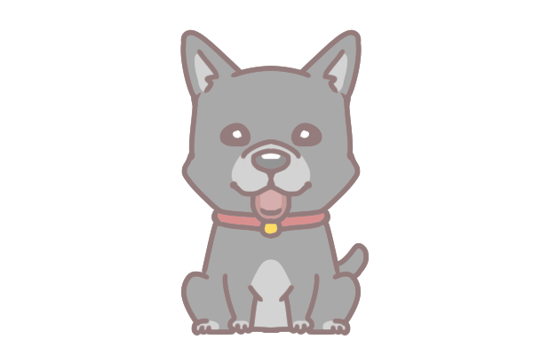 10大最長壽的狗狗品種_1 10大最長壽的狗狗品種_1