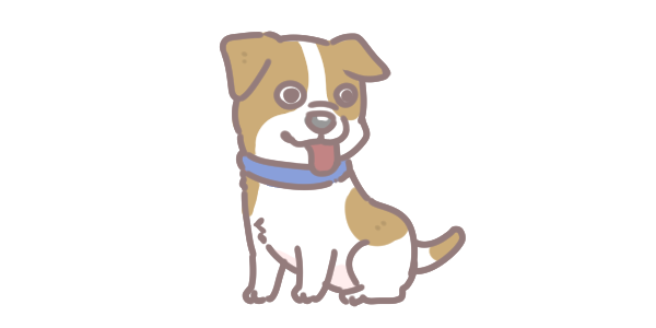 10大最長壽的狗狗品種_3 10大最長壽的狗狗品種_3