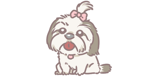 10大最長壽的狗狗品種_4 10大最長壽的狗狗品種_4