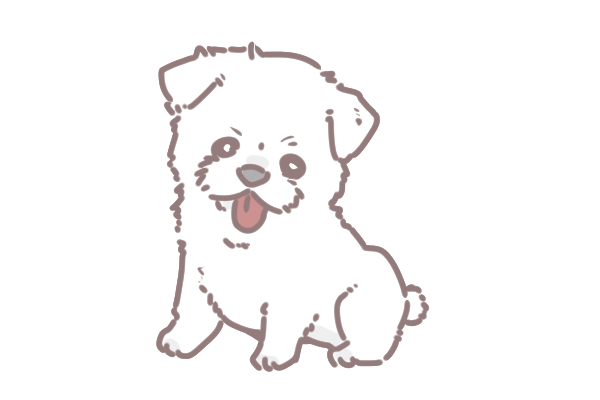 10大最長壽的狗狗品種_5 10大最長壽的狗狗品種_5