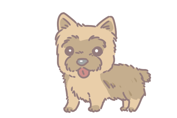 10大最長壽的狗狗品種_6 10大最長壽的狗狗品種_6