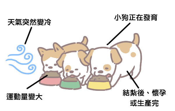 狗狗突然暴食的原因_2 狗狗突然暴食的原因_2