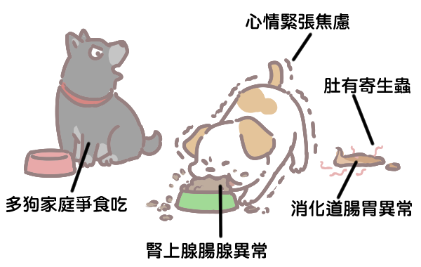 狗狗突然暴食的原因_3 狗狗突然暴食的原因_3