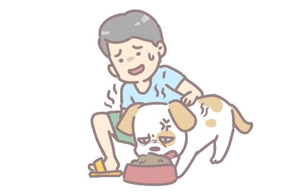 狗狗突然暴食的原因_4 狗狗突然暴食的原因_4