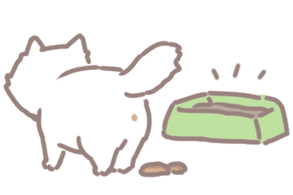 貓咪老人癡呆_2 貓咪老人癡呆_2