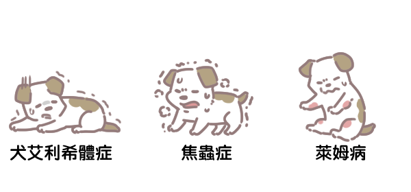 寵物與壁蝨疾病_3