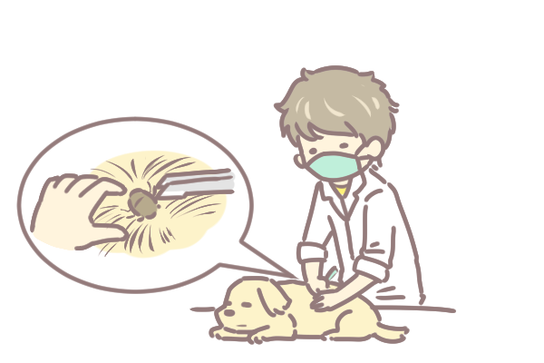 寵物與壁蝨疾病_2