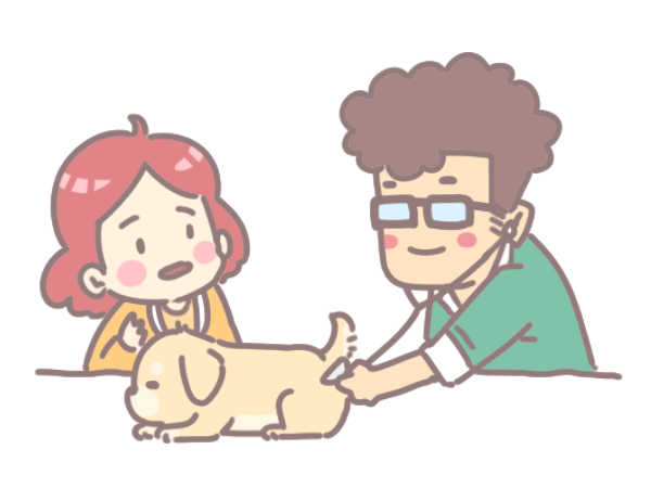 毛孩失智照護_2 毛孩失智照護_2