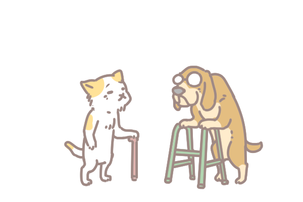 樂齡毛孩常見疾病_2