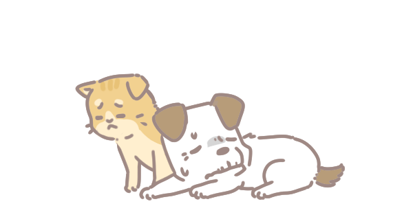 樂齡毛孩常見疾病_4