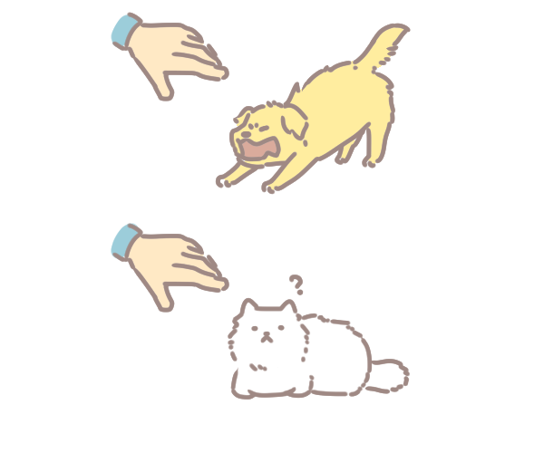 樂齡毛孩常見疾病_5