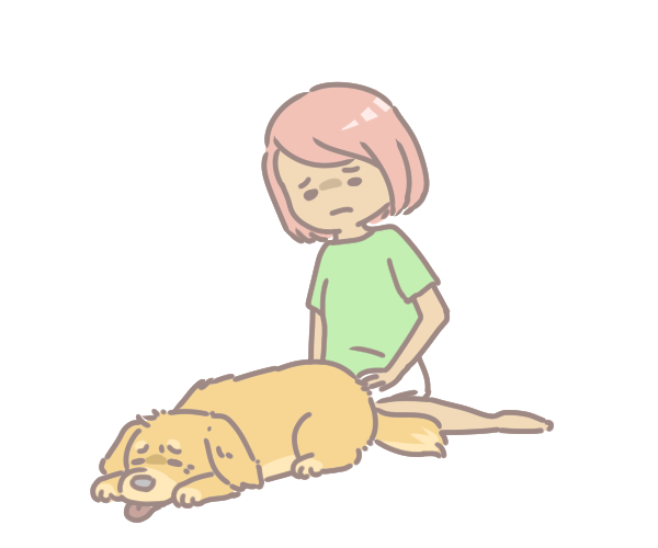 樂齡毛孩常見疾病_6