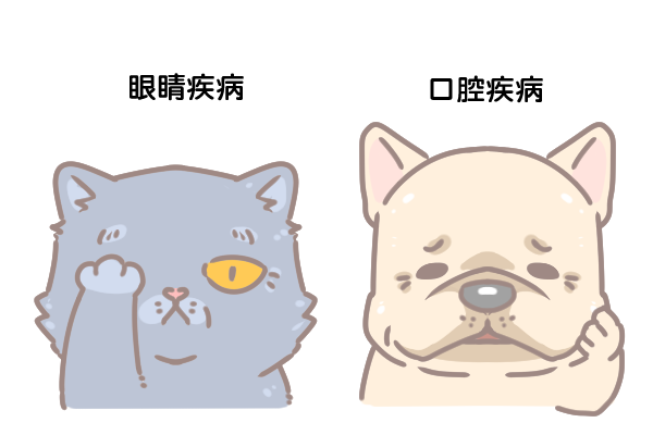 樂齡毛孩常見疾病_7