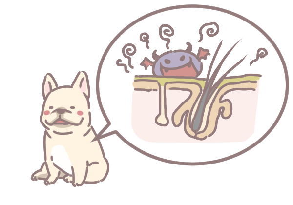 毛孩多久洗澡一次_4 毛孩多久洗澡一次_4