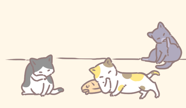 毛孩多久洗澡一次_1 毛孩多久洗澡一次_1