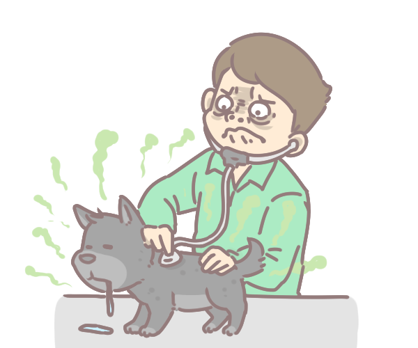 毛孩多久洗澡一次_5 毛孩多久洗澡一次_5