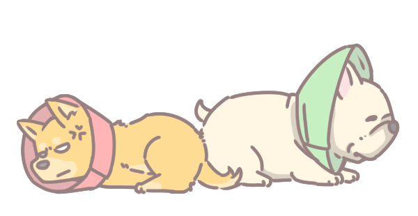 為什麼要幫狗結紮_1 為什麼要幫狗結紮_1