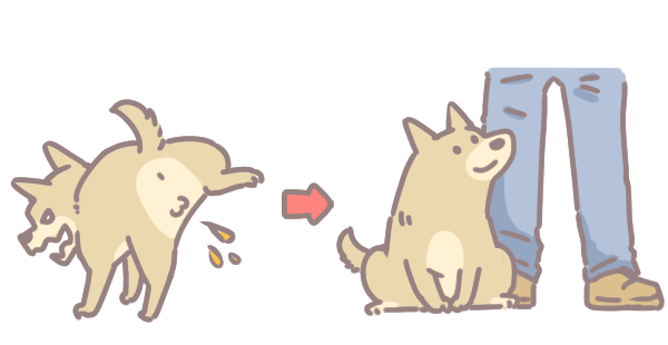 為什麼要幫狗結紮_2 為什麼要幫狗結紮_2