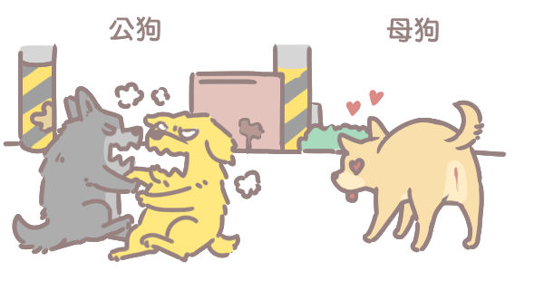 為什麼要幫狗結紮_3 為什麼要幫狗結紮_3