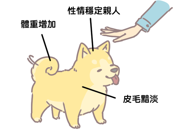 為什麼要幫狗結紮_5 為什麼要幫狗結紮_5