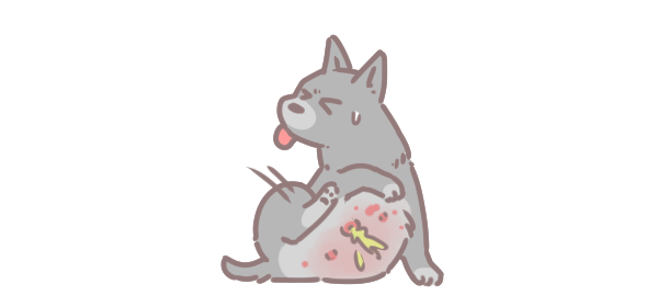 狗狗春季常見皮膚病_1 狗狗春季常見皮膚病_1