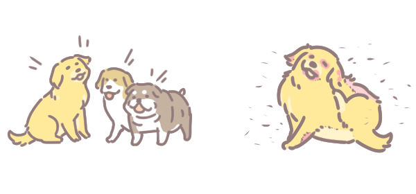 狗狗春季常見皮膚病_3 狗狗春季常見皮膚病_3