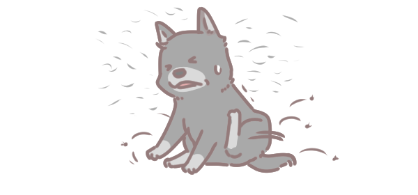 狗狗春季常見皮膚病_4 狗狗春季常見皮膚病_4