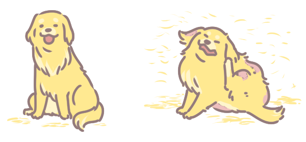 狗狗春季常見皮膚病_5 狗狗春季常見皮膚病_5