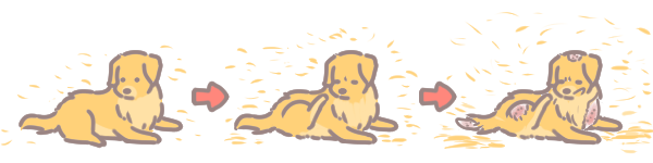 塵蹣的危險_2 塵蹣的危險_2