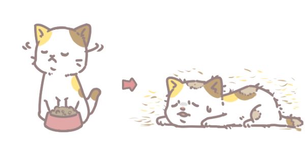 為什麼寵物會狂掉毛_4 為什麼寵物會狂掉毛_4