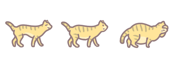 為什麼貓狗結紮後就變胖_1 為什麼貓狗結紮後就變胖_1