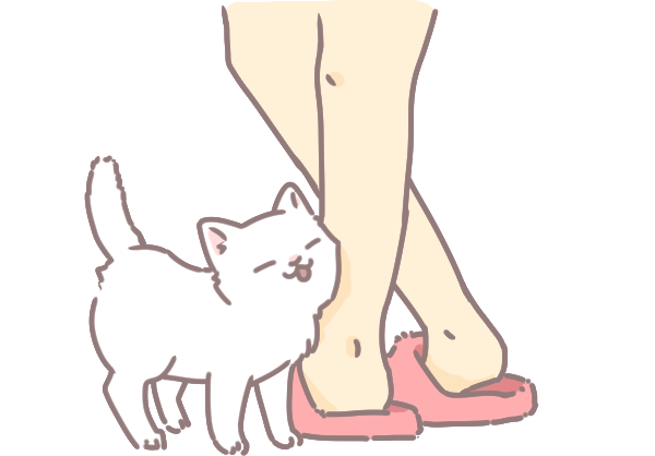 粗粗貓舌頭的功用_5 粗粗貓舌頭的功用_5