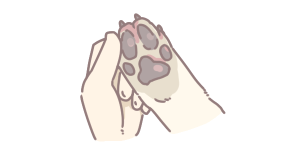 檢測狗狗是否有趾間炎_5