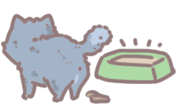 貓咪生病徵兆_6 貓咪生病徵兆_6