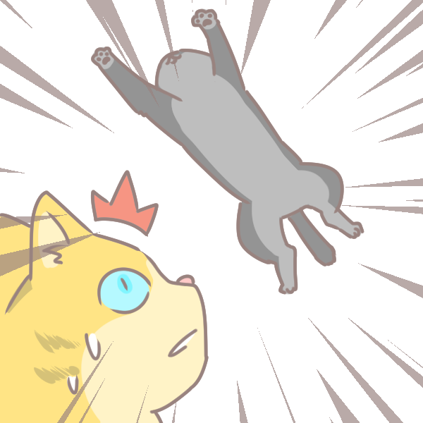 如何預防貓咪高層綜合症_3 如何預防貓咪高層綜合症_3