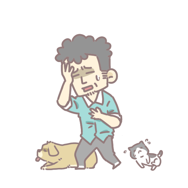 貧血補鐵這樣吃_7