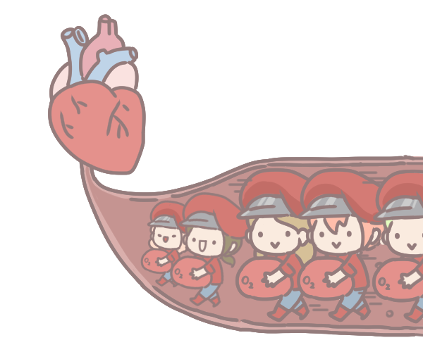 貧血補鐵這樣吃_6