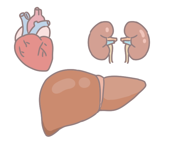 貧血補鐵這樣吃_3