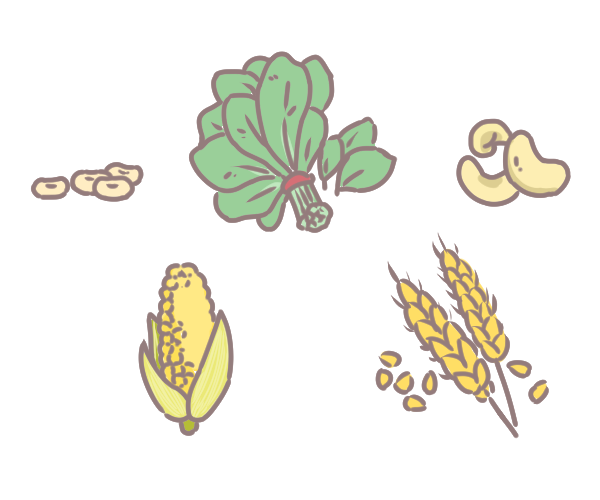 貧血補鐵這樣吃_2