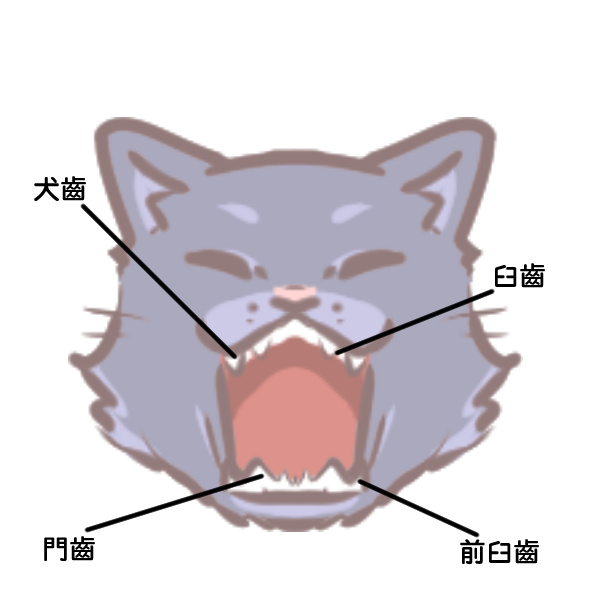 生食讓排便變順變美_2 生食讓排便變順變美_2