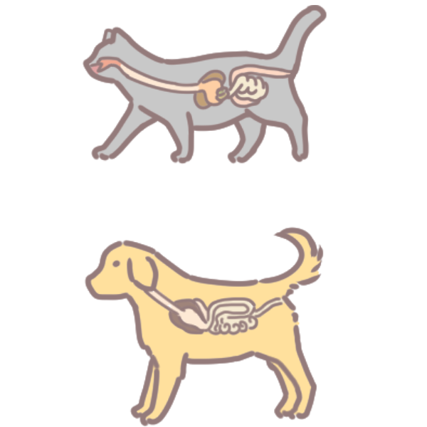 生食讓排便變順變美_3 生食讓排便變順變美_3