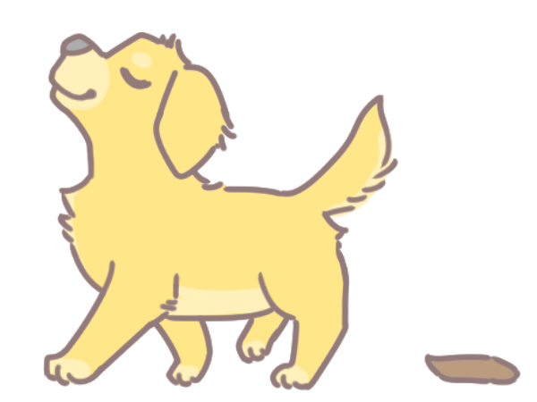 生食讓排便變順變美_5 生食讓排便變順變美_5