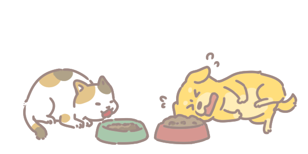 毛孩牙口不好怎麼吃_5 毛孩牙口不好怎麼吃_5