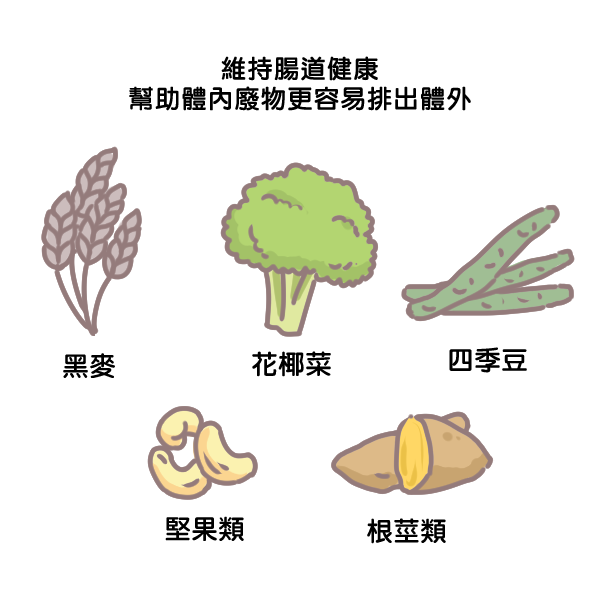 寵物與膳食纖維_3 寵物與膳食纖維_3