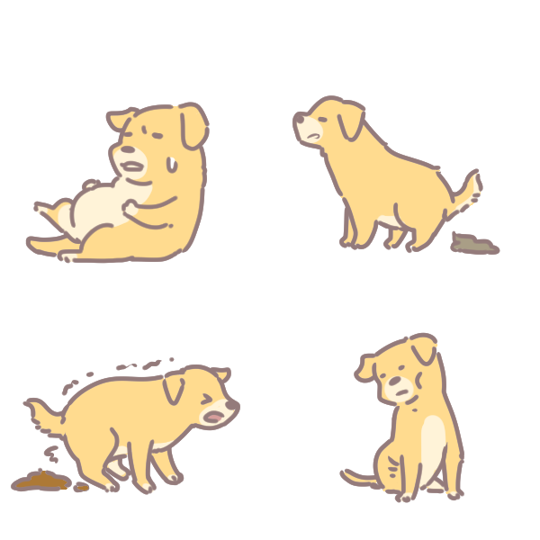 寵物與膳食纖維_4 寵物與膳食纖維_4