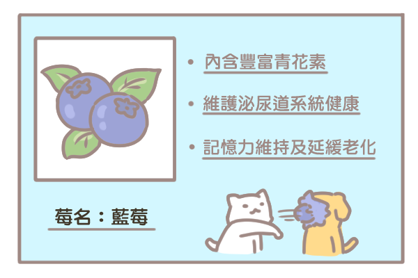 莓果的優點_藍莓 莓果的優點_藍莓